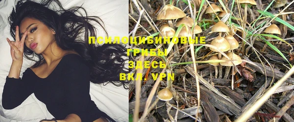хмурый Алексеевка