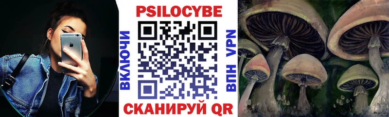 цены наркотик  Шелехов  Галлюциногенные грибы ЛСД 
