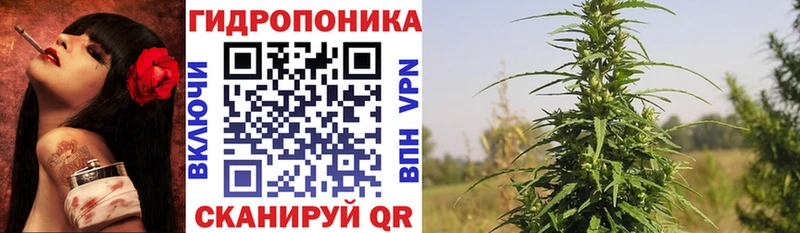 Каннабис план  купить закладку  Шелехов 